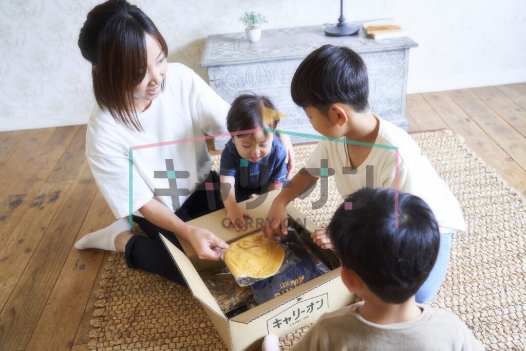 キャリーオン１